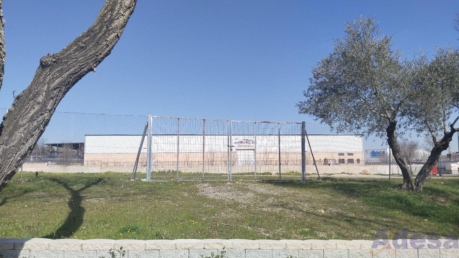 For rent of industrial plant/warehouse in Navalcarnero