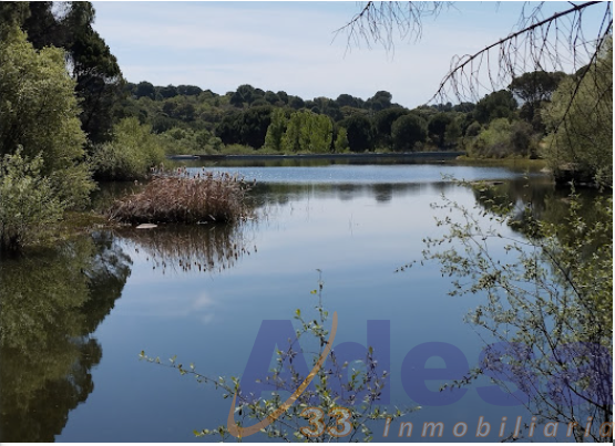 Venta de chalet en Almorox