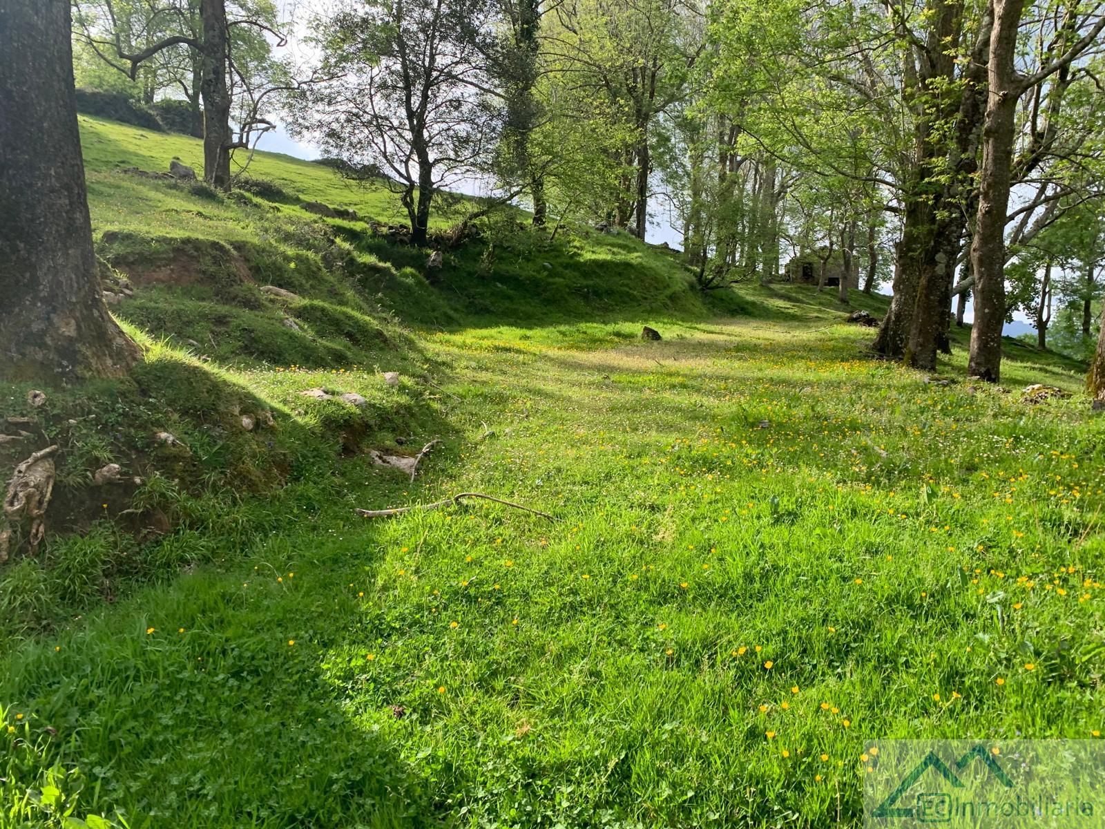 For sale of land in Liérganes