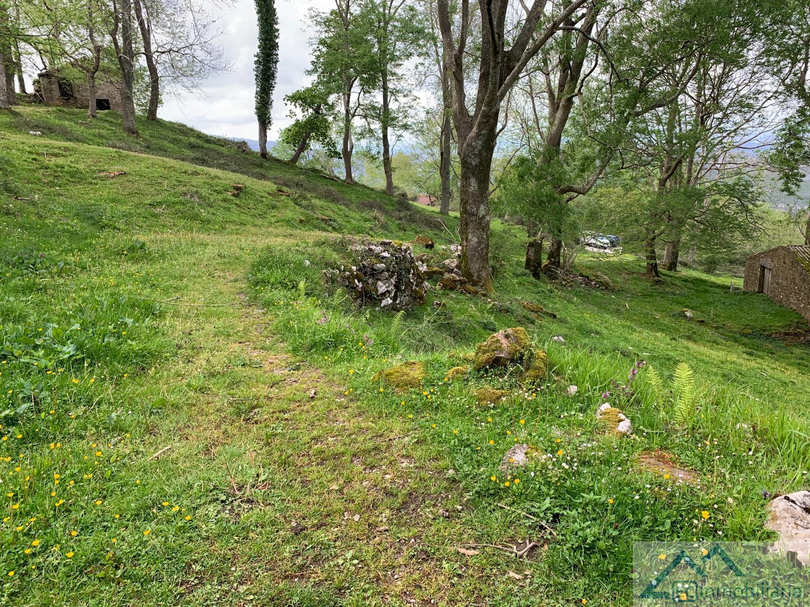 For sale of land in Liérganes