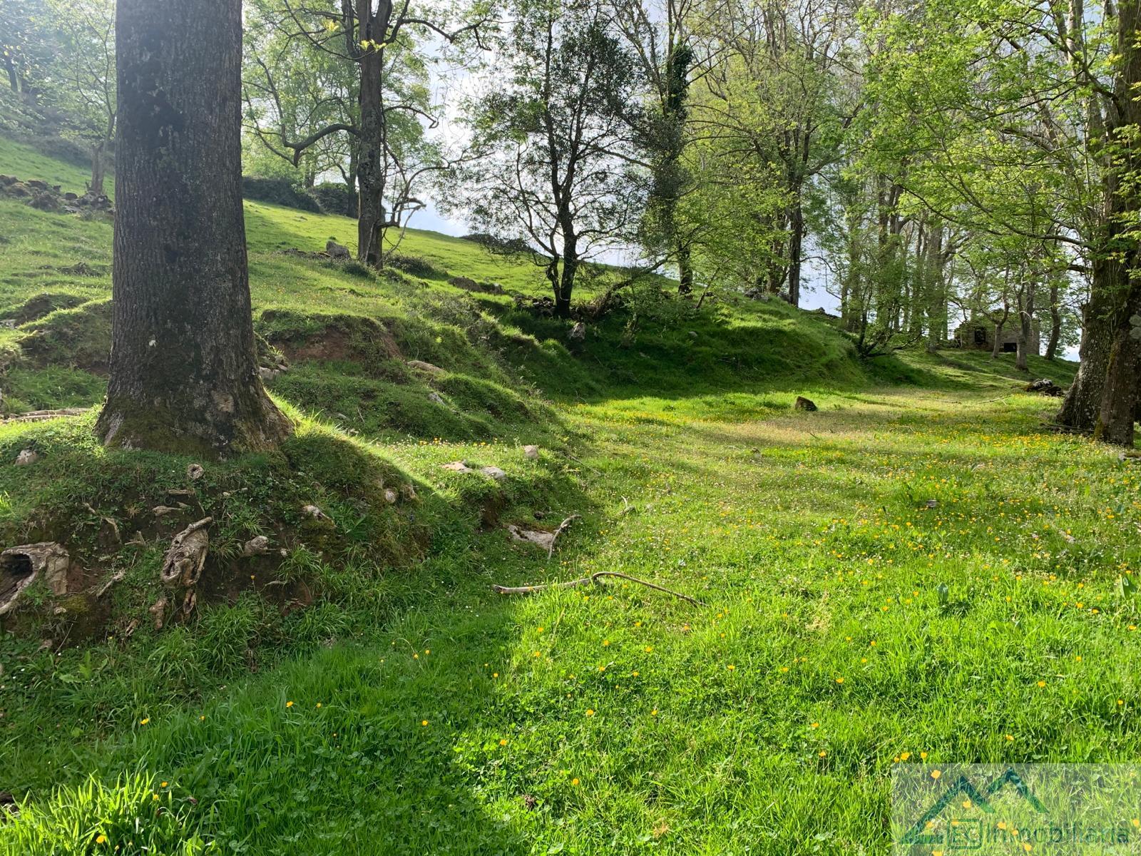 For sale of land in Liérganes