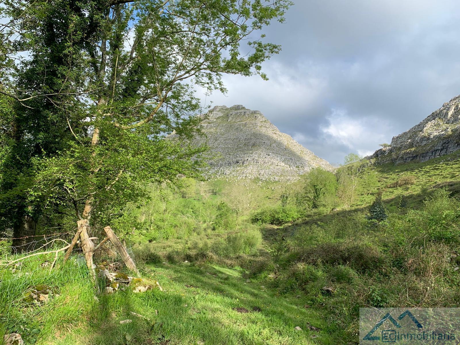 For sale of land in Liérganes