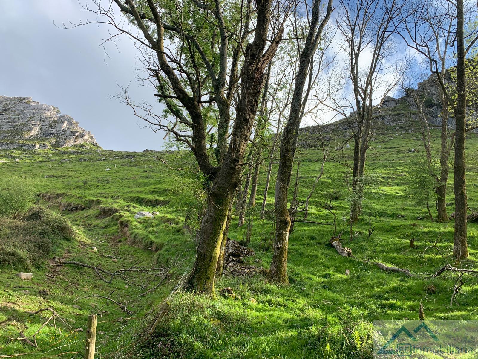 For sale of land in Liérganes