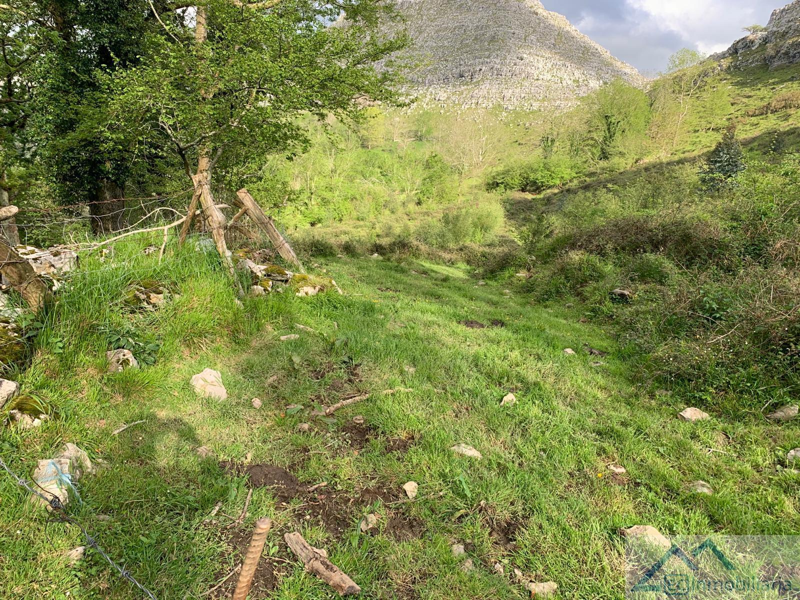 For sale of land in Liérganes