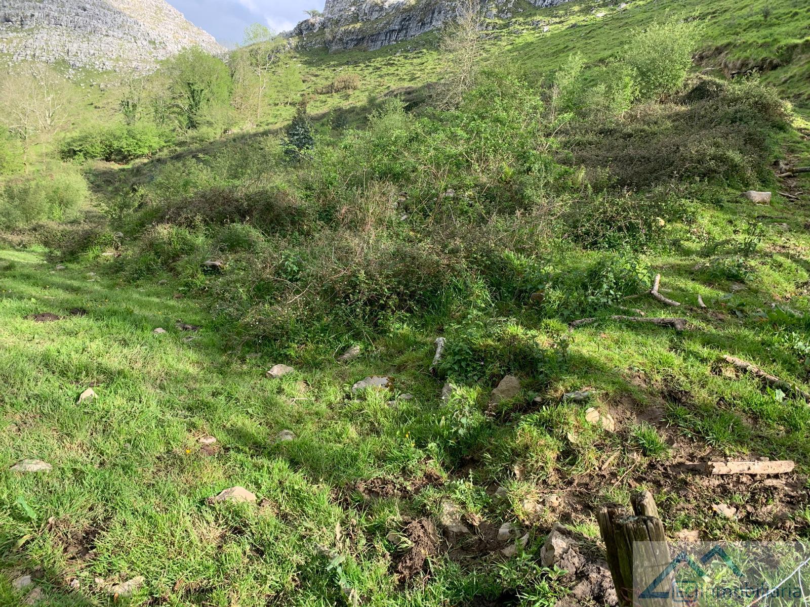 For sale of land in Liérganes