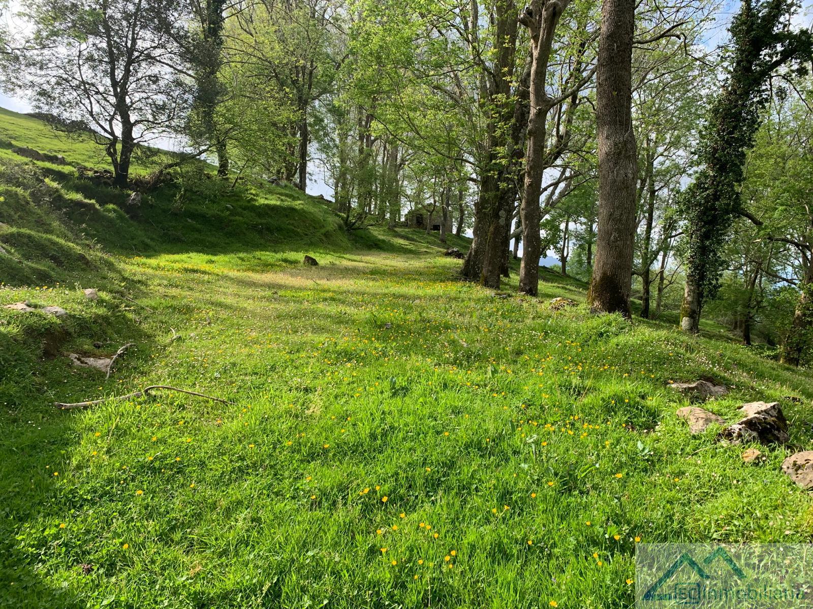 For sale of land in Liérganes