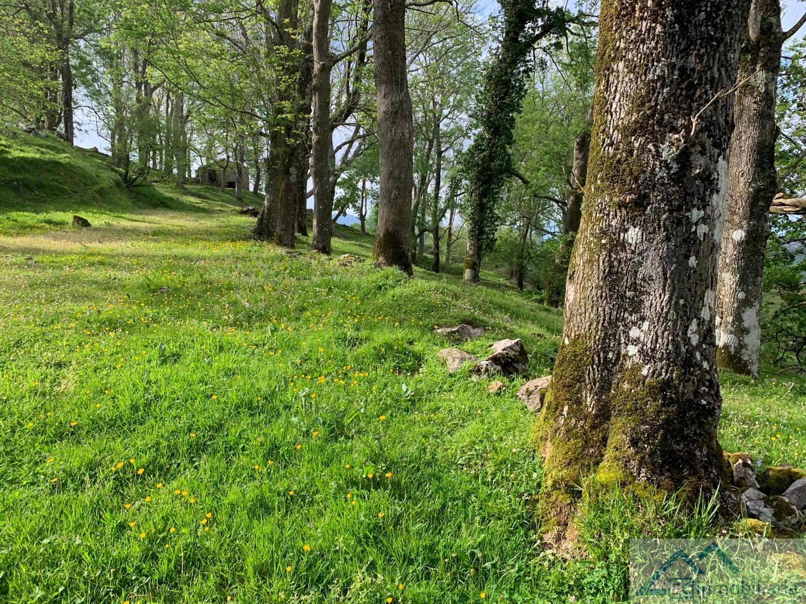 For sale of land in Liérganes