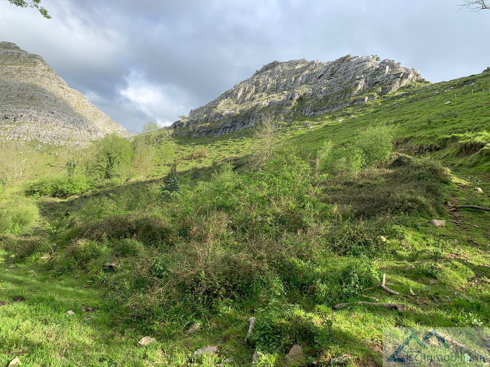 For sale of land in Liérganes