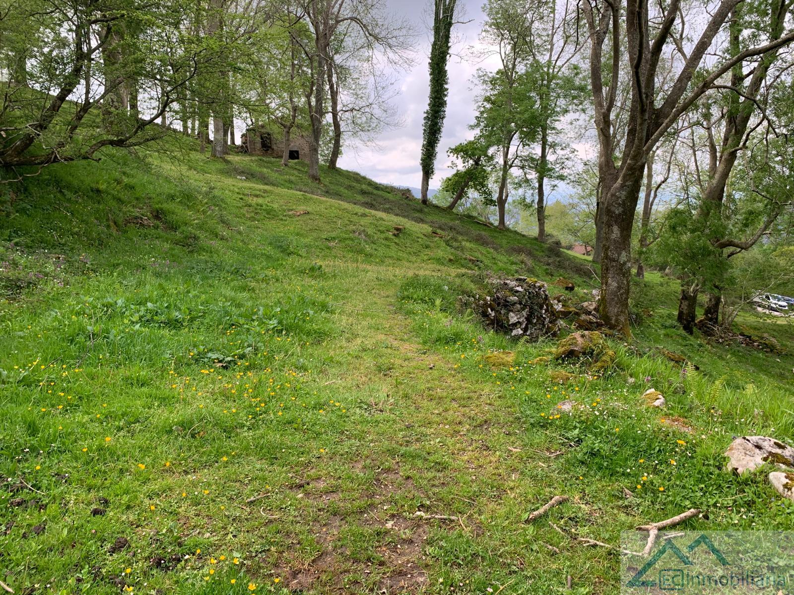 For sale of land in Liérganes