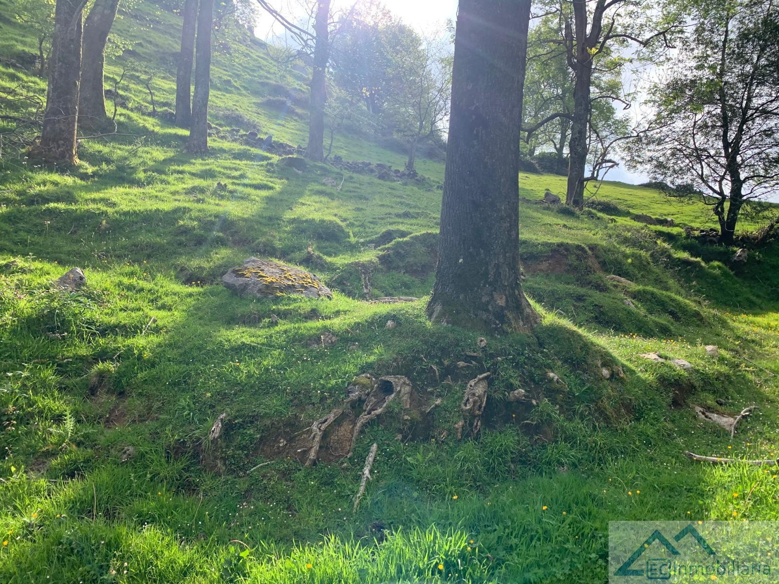 For sale of land in Liérganes