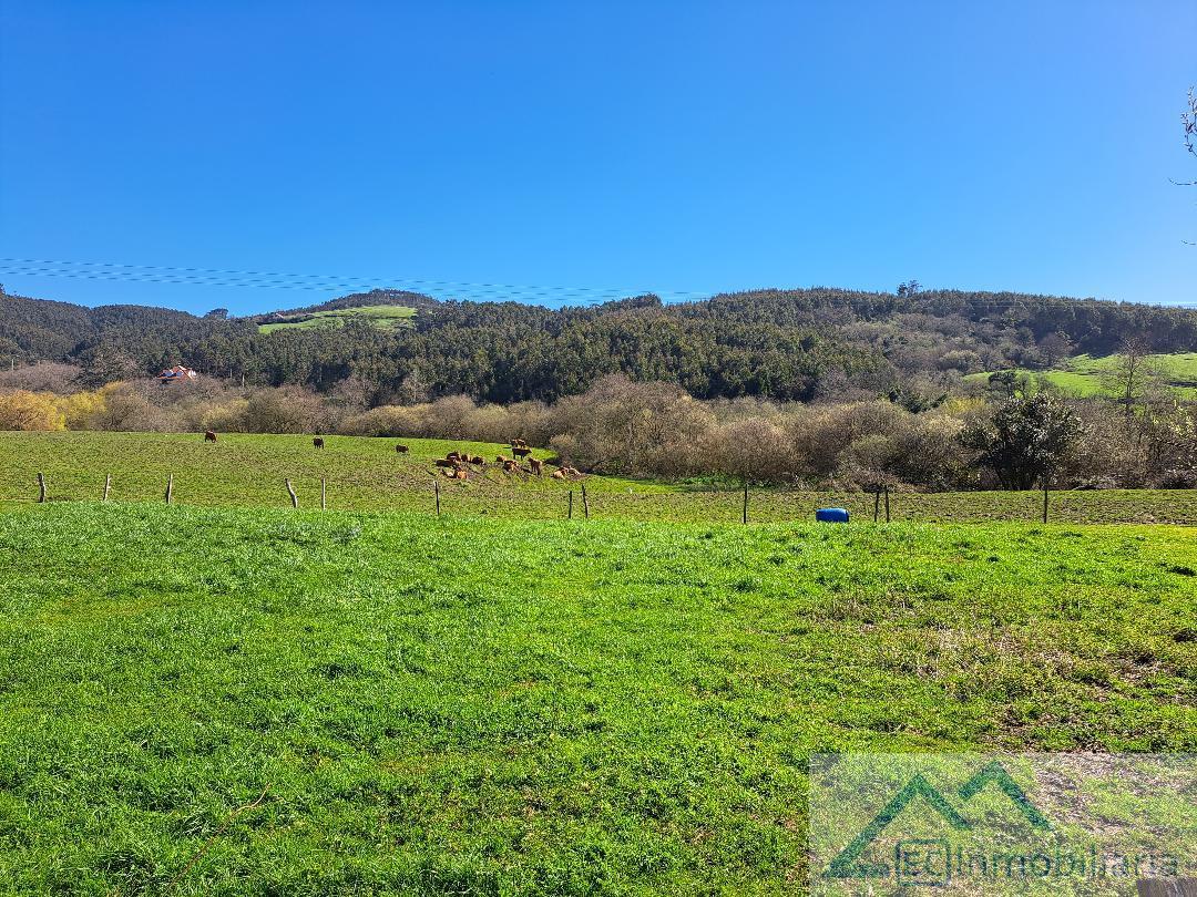 Alrededores Alrededores