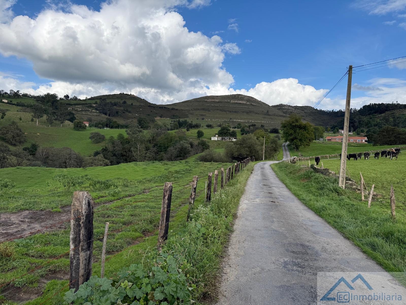 Entrada/Salida Entrada/Salida