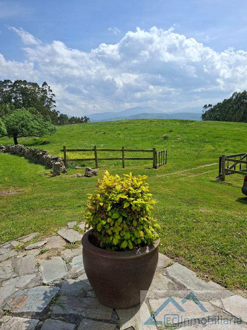 Jardín