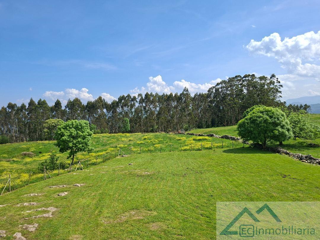 Jardín