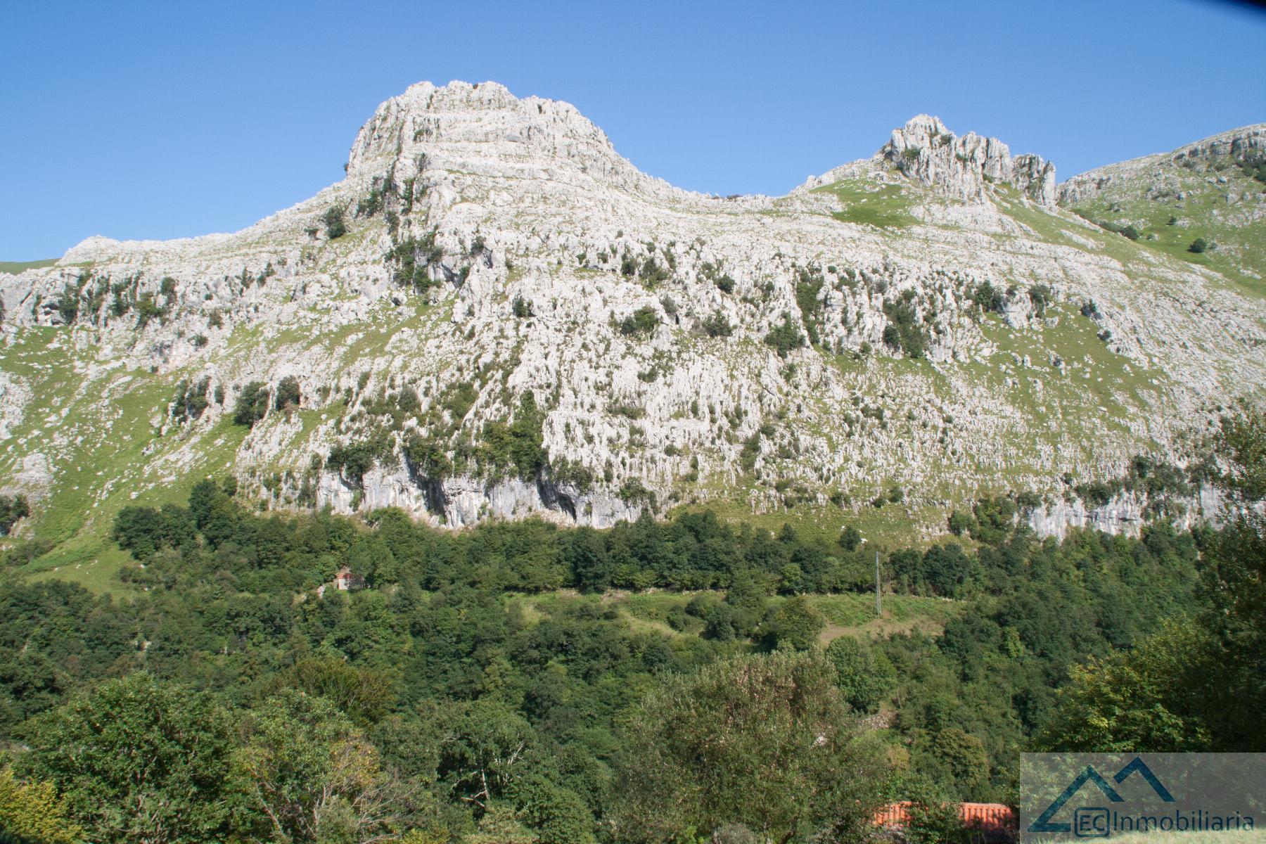 Vistas