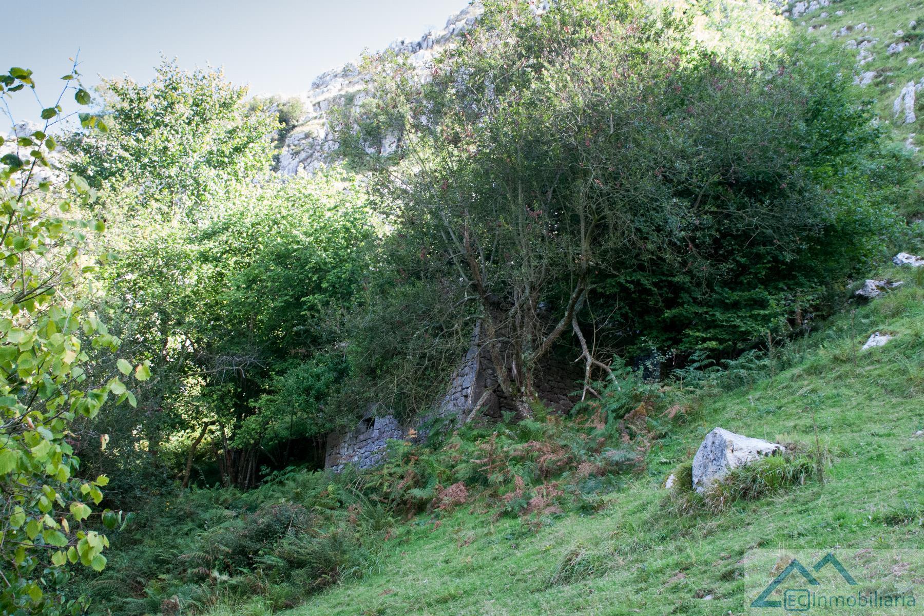 Alrededores