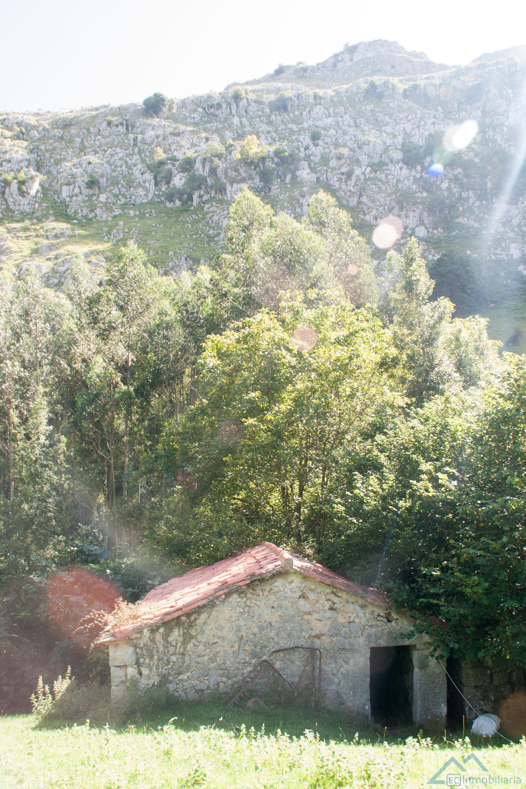 Alrededores