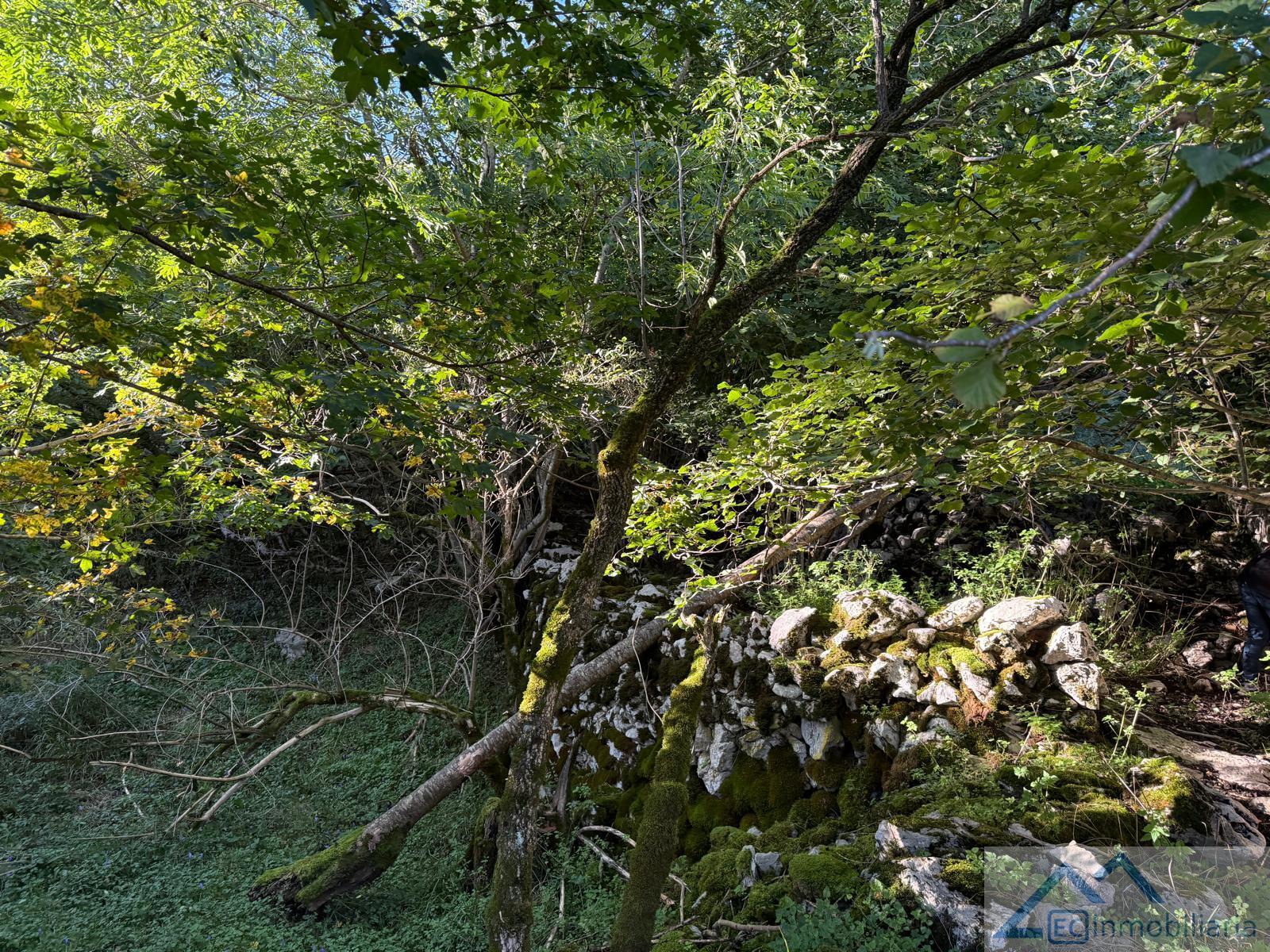 Venta de finca rústica en Ruesga