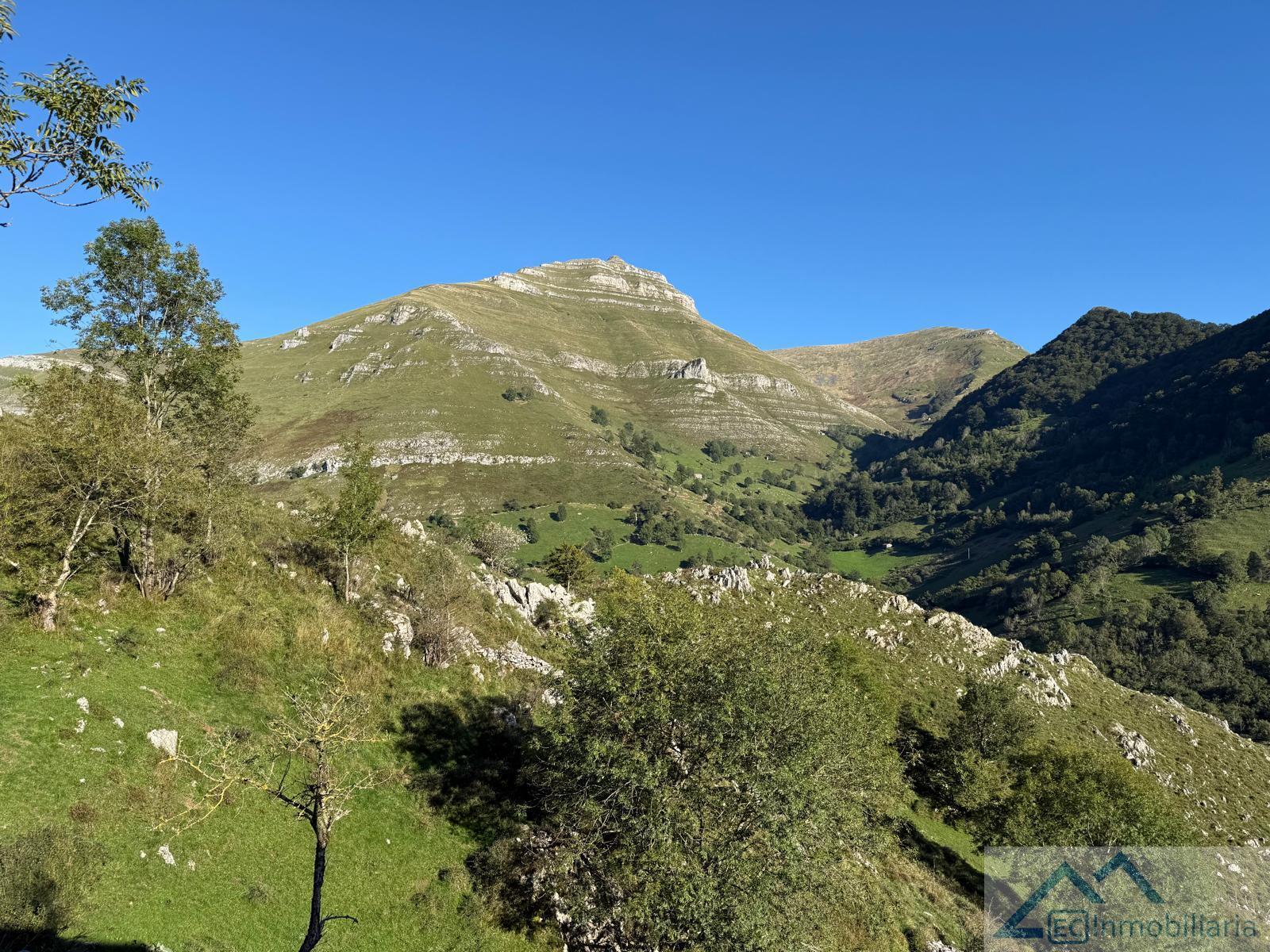 Jardín
