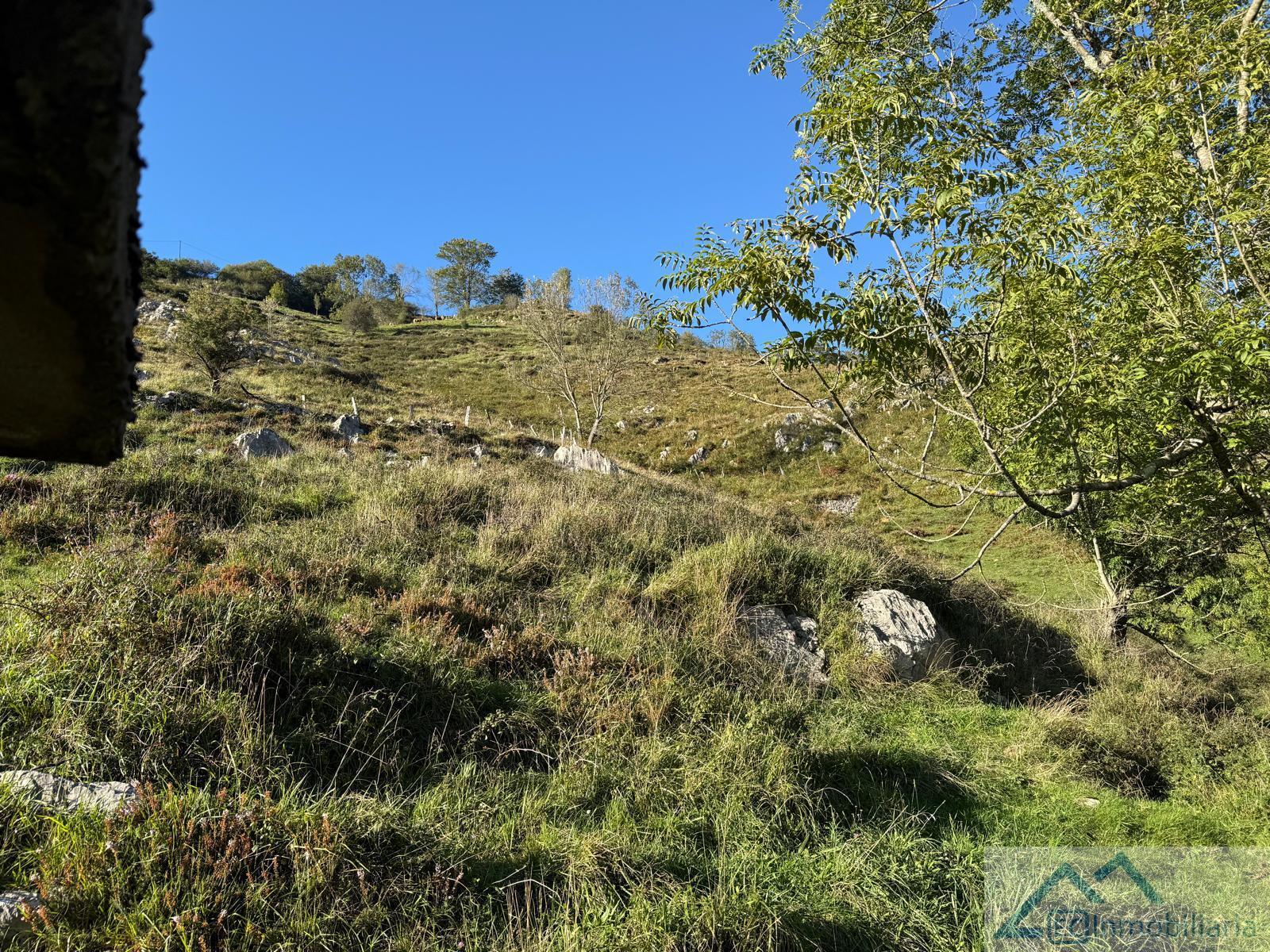 Jardín