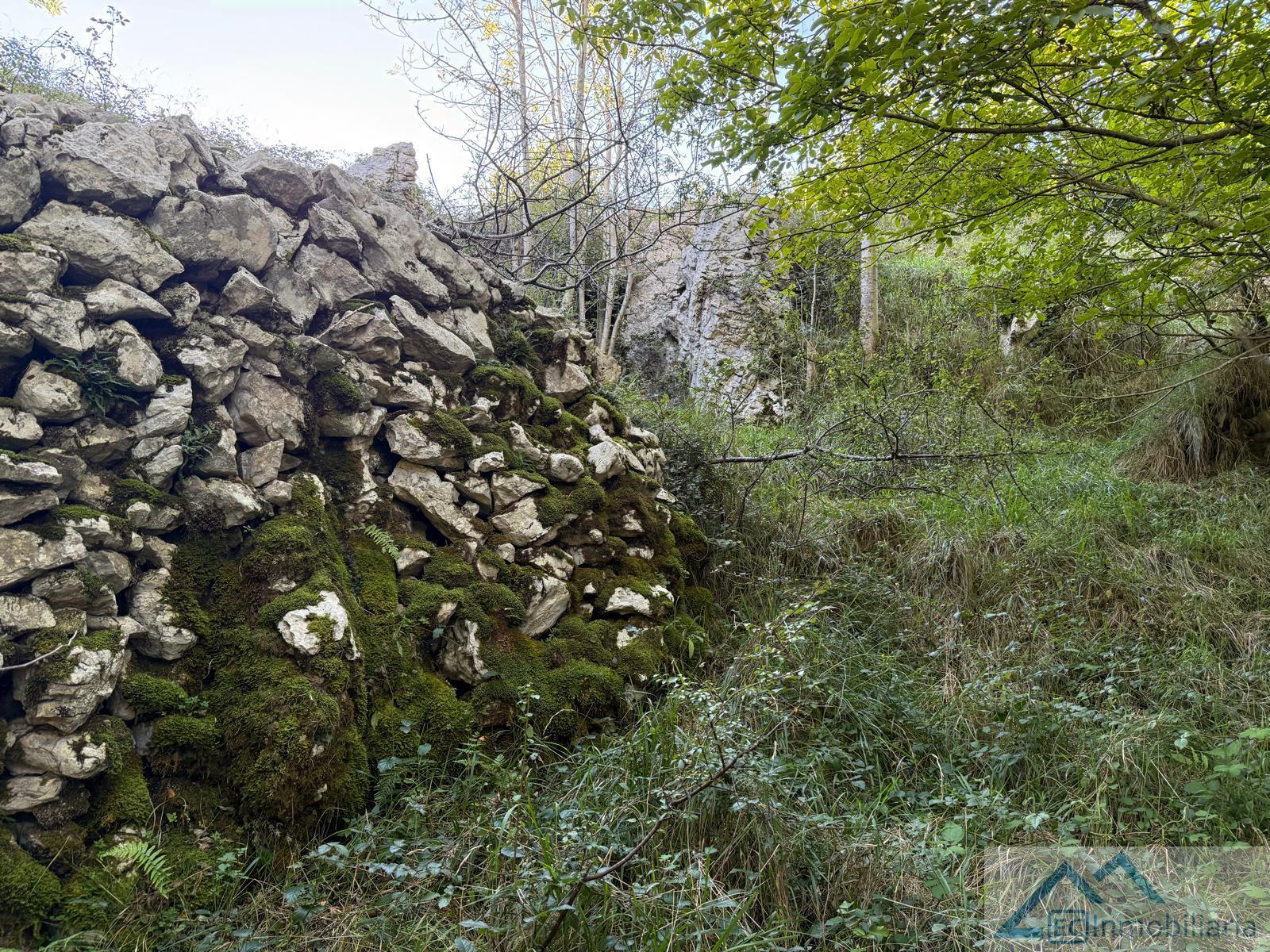 Venta de finca rústica en Ruesga