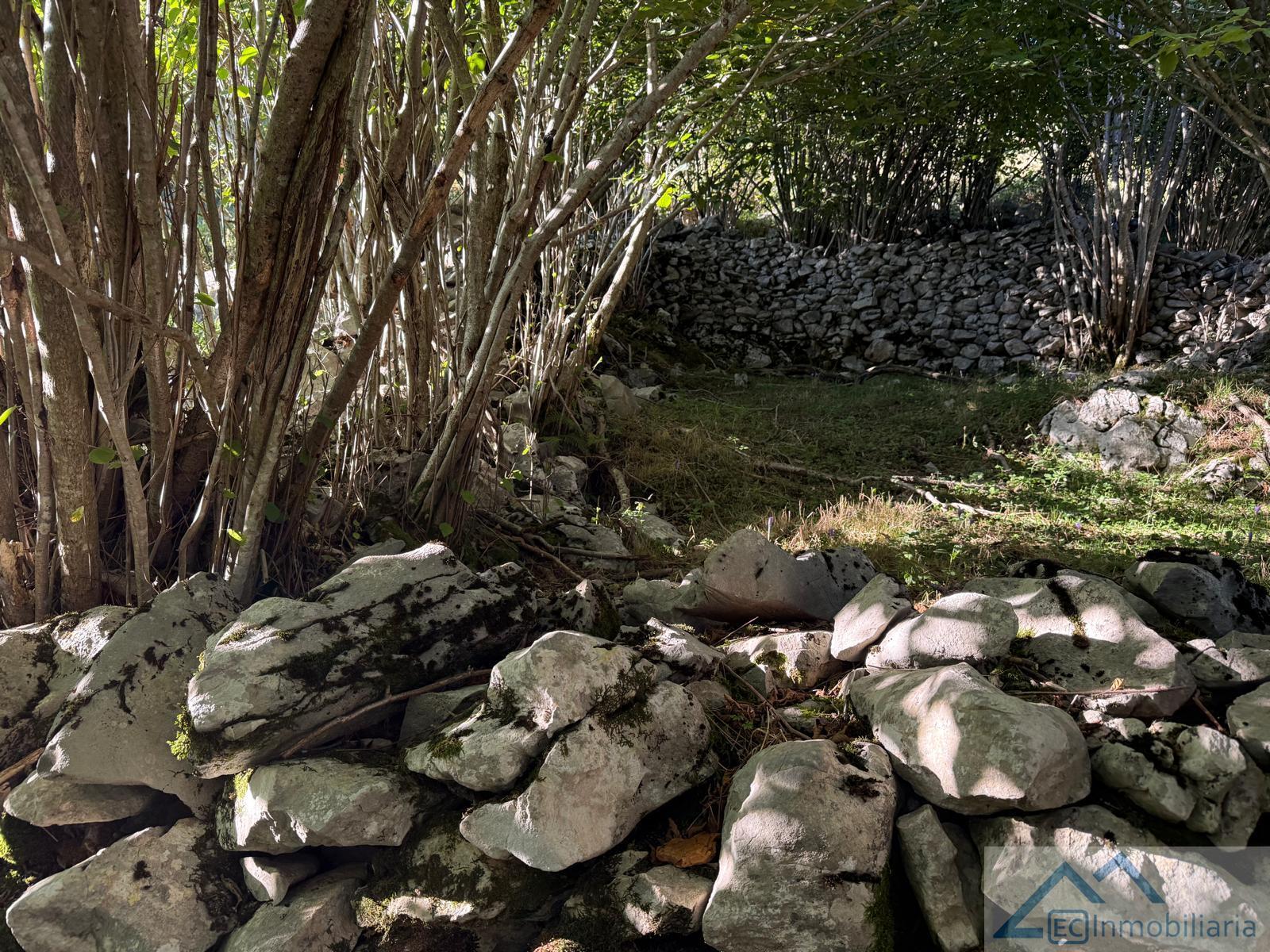Venta de finca rústica en Ruesga