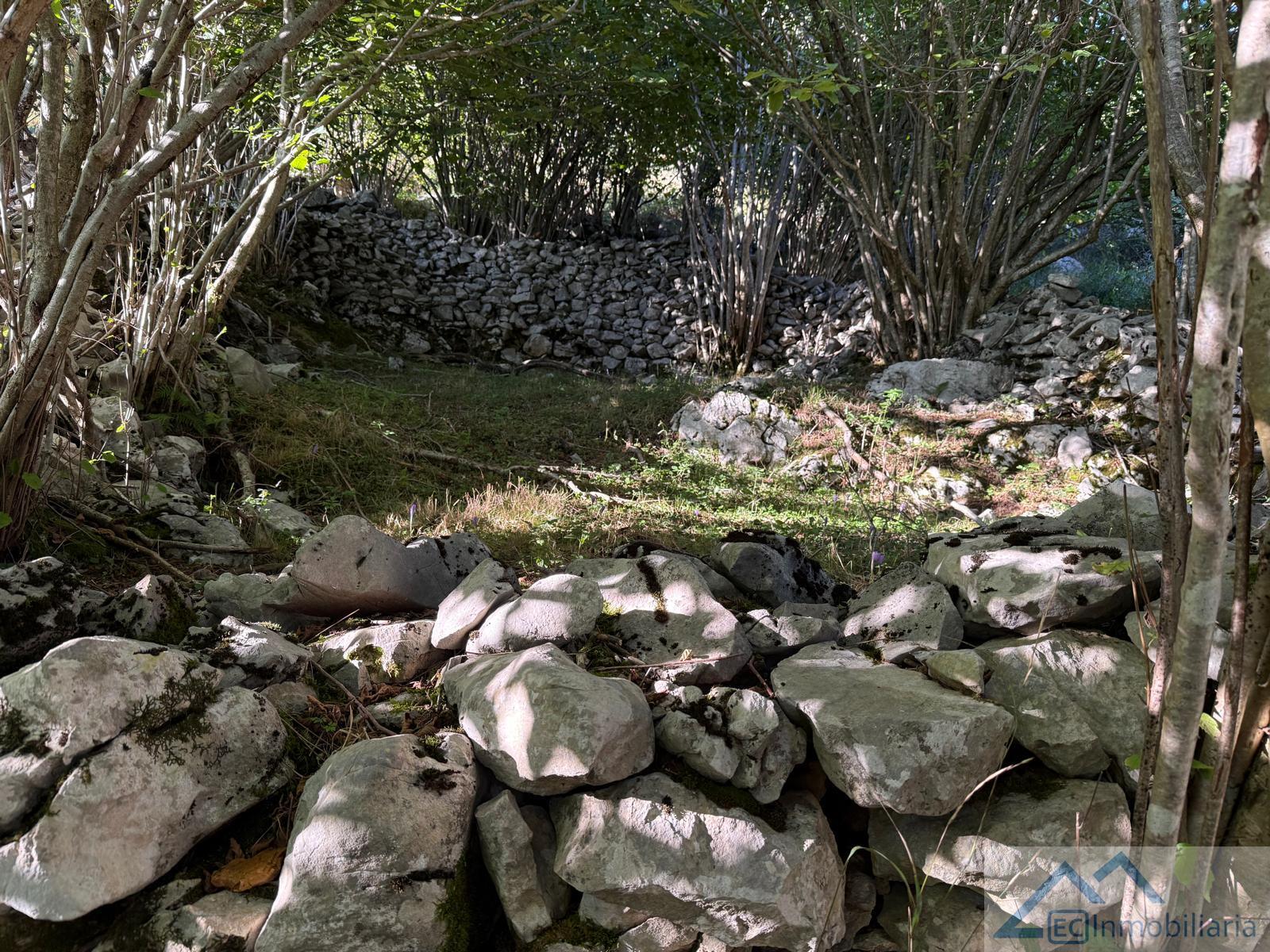 Venta de finca rústica en Ruesga