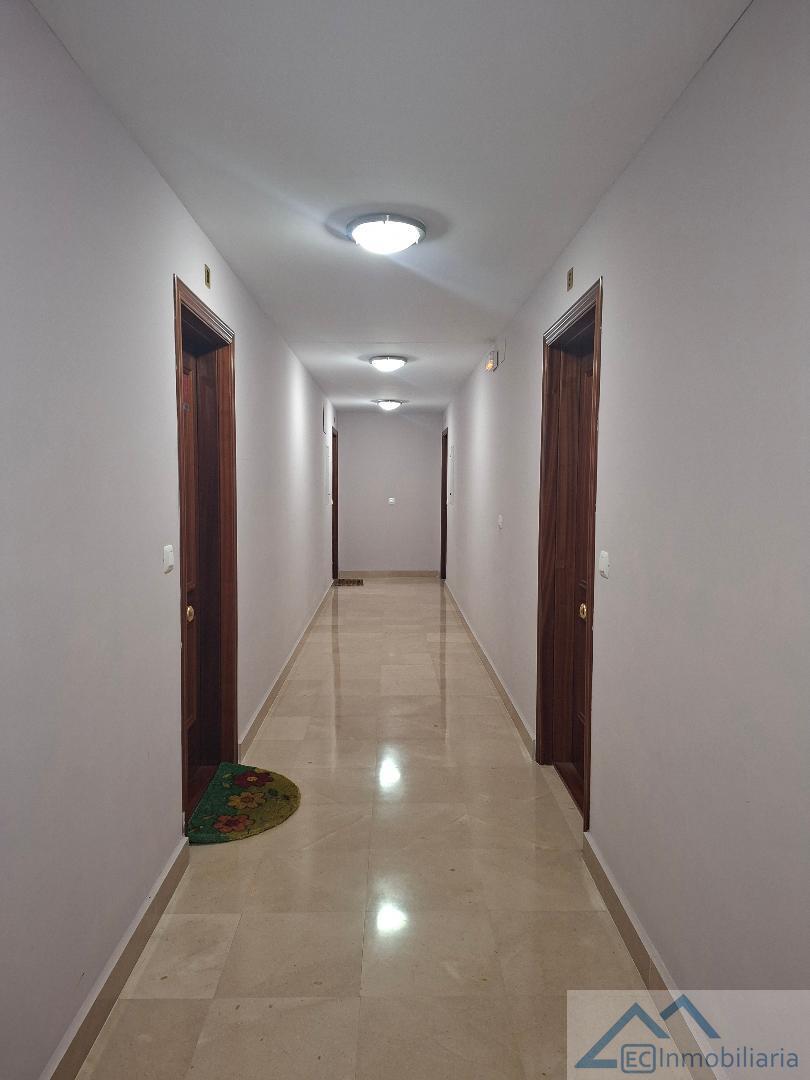 Entrada/Salida