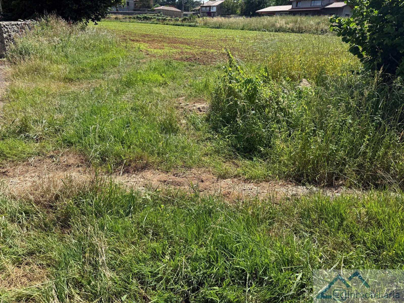 Jardín