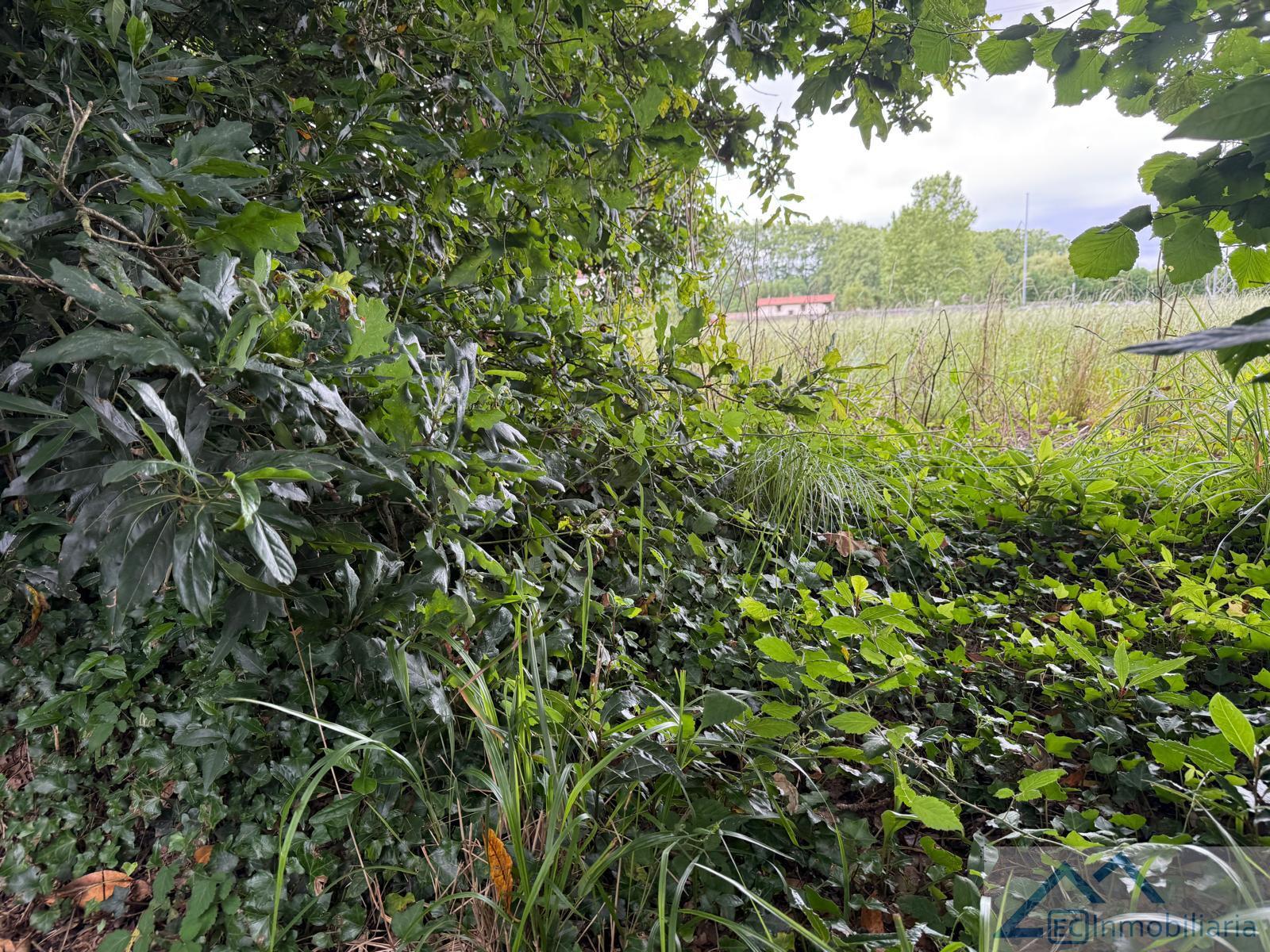 Jardín
