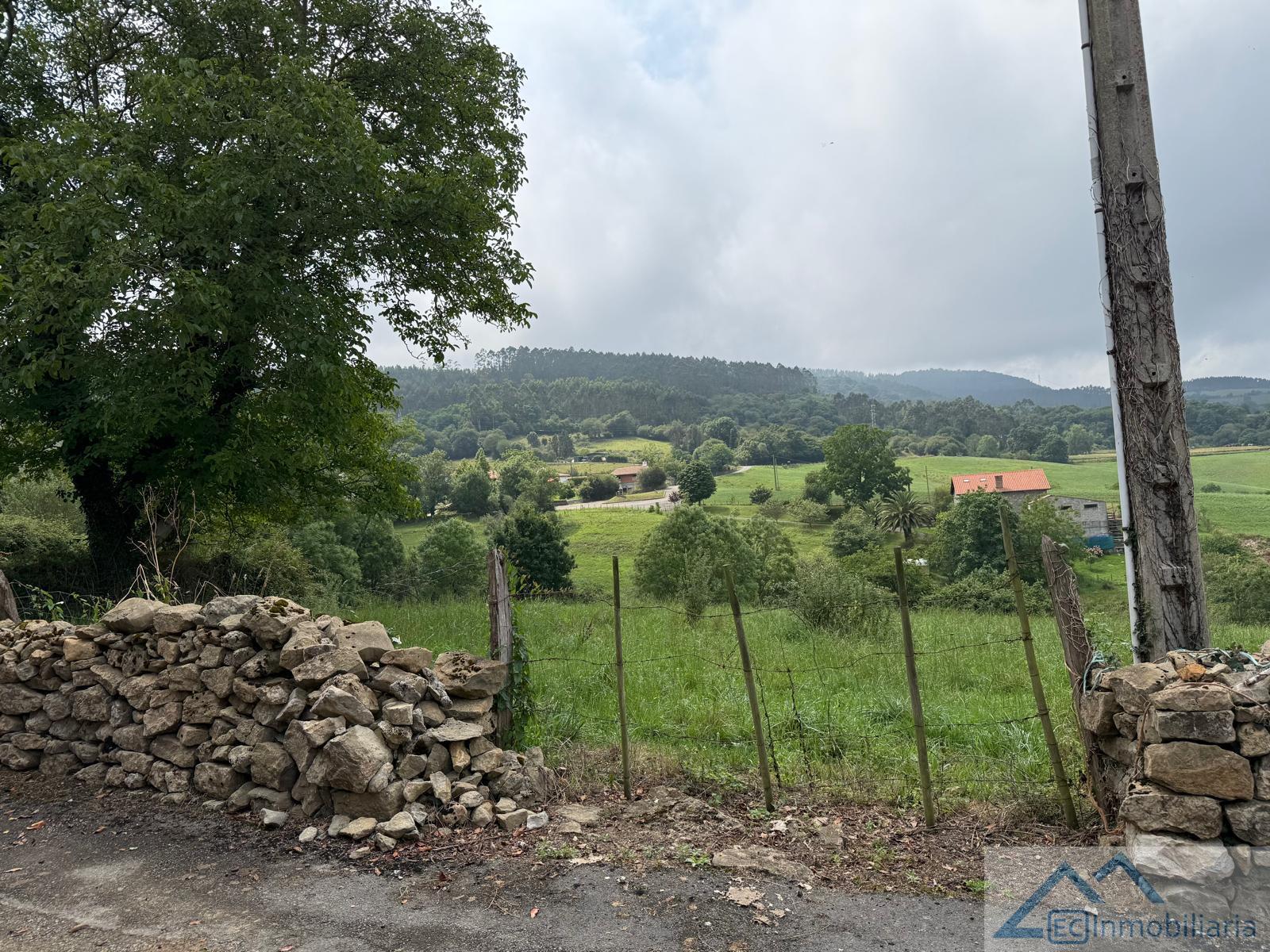 Entrada/Salida