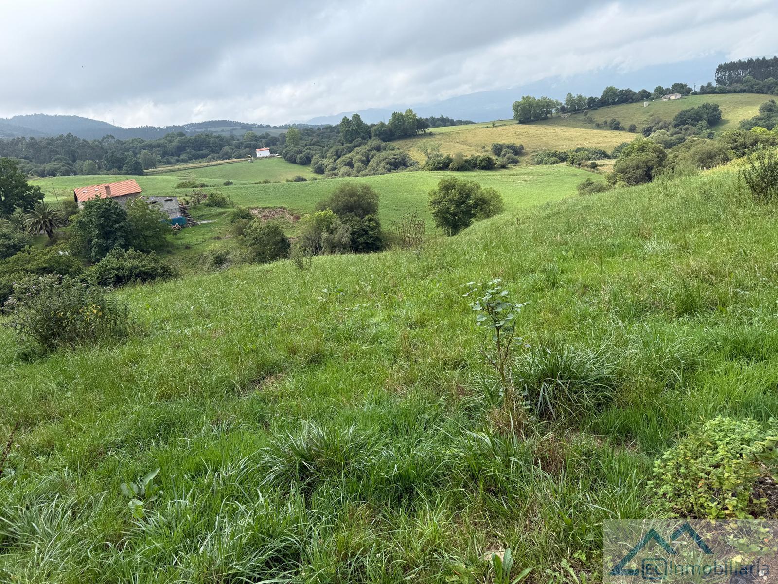 Jardín