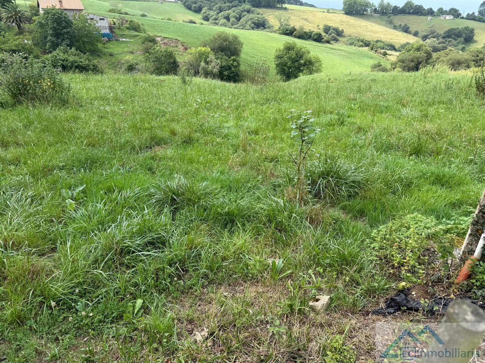 Jardín