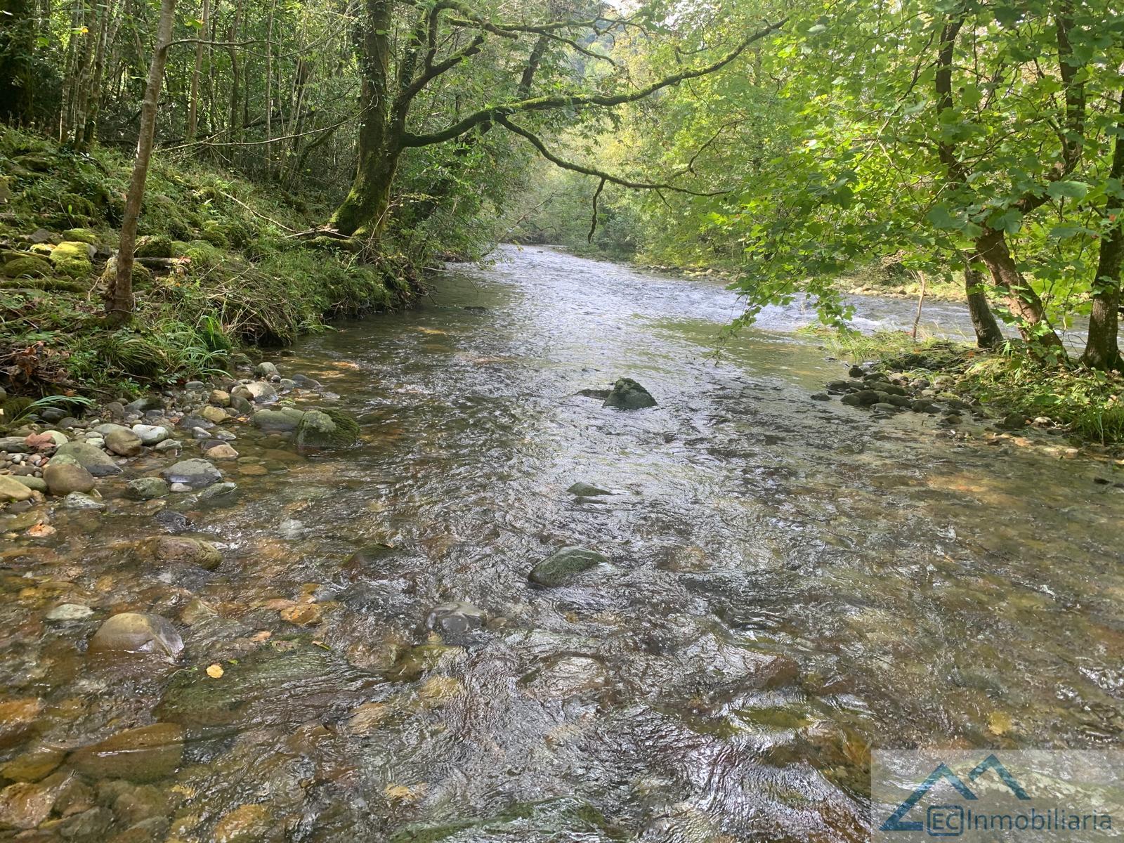 Alrededores