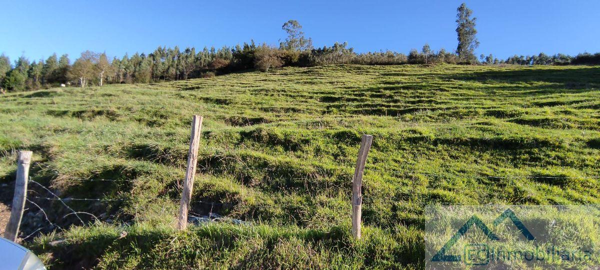 Venta de finca rústica en Santiurde de Toranzo