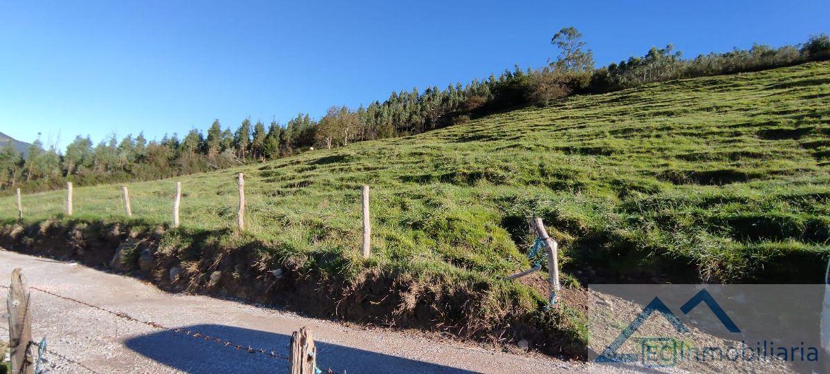 Venta de finca rústica en Santiurde de Toranzo