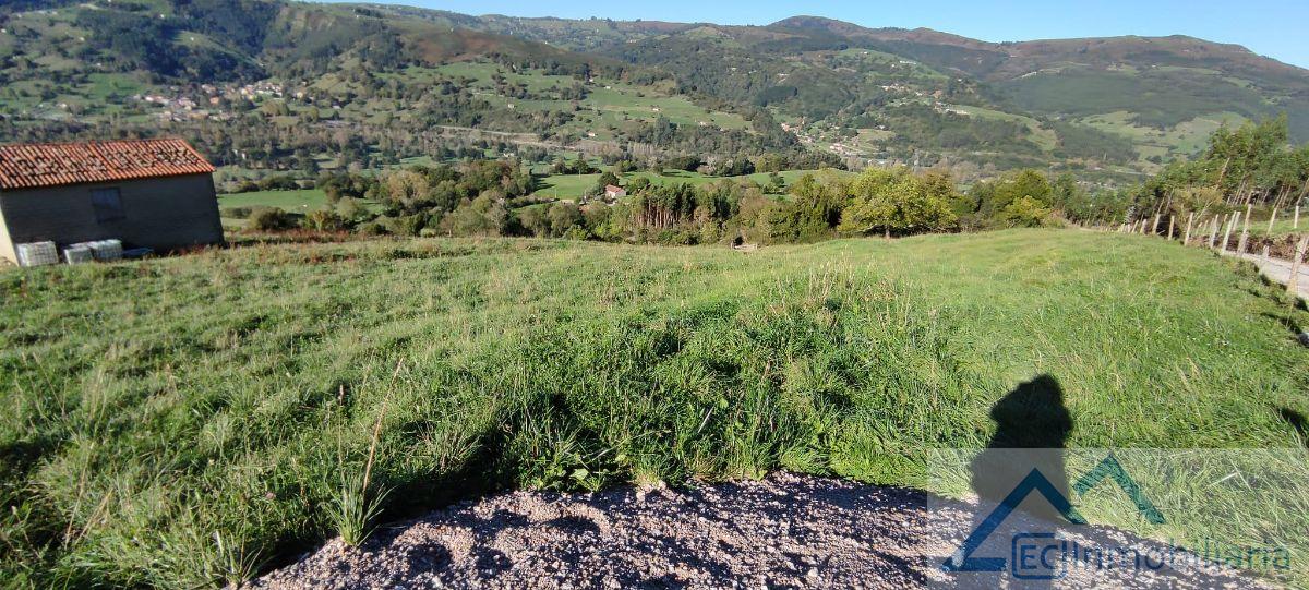 Venta de finca rústica en Santiurde de Toranzo