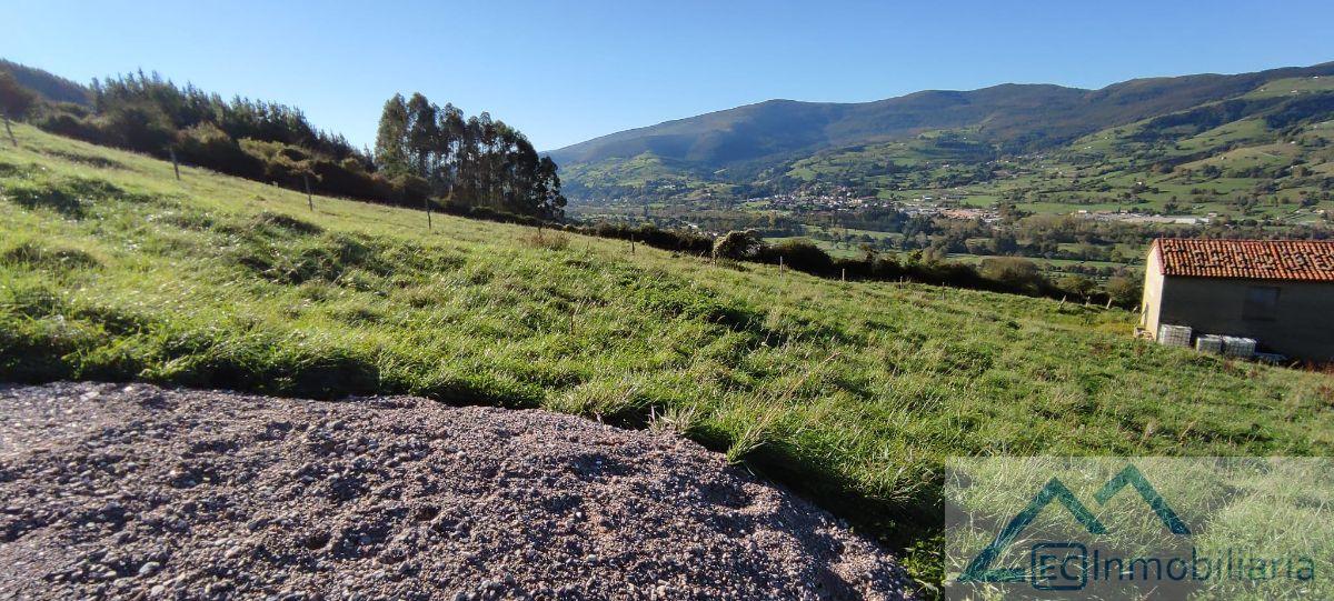 Venta de finca rústica en Santiurde de Toranzo