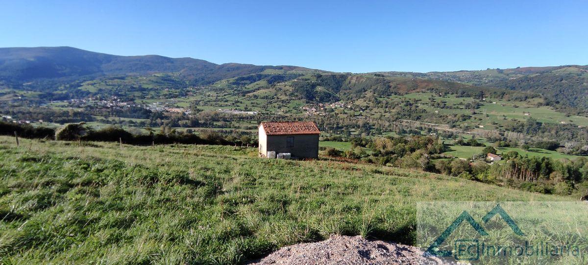 Venta de finca rústica en Santiurde de Toranzo