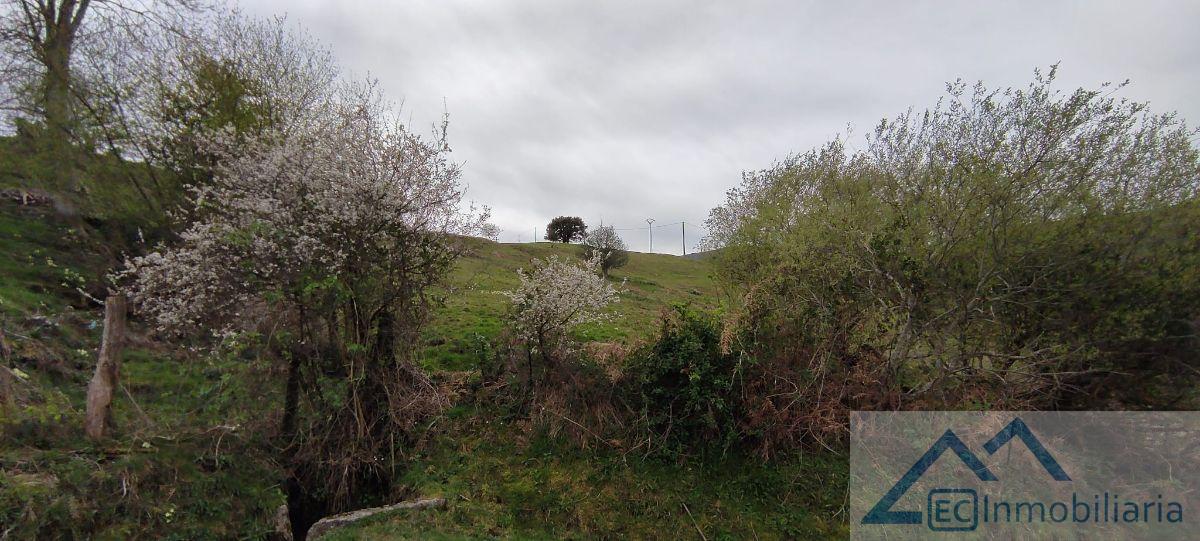 For sale of rural property in Corvera de Toranzo