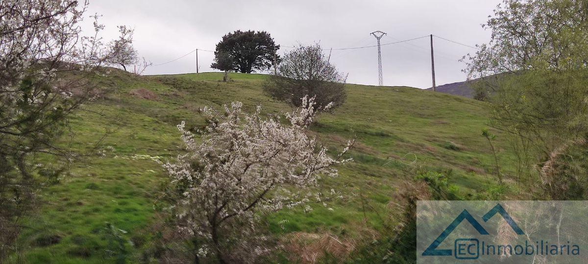 Venta de finca rústica en Corvera de Toranzo