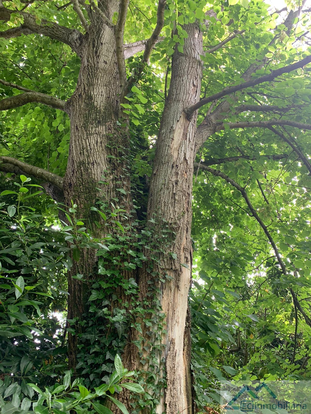 Alrededores Alrededores