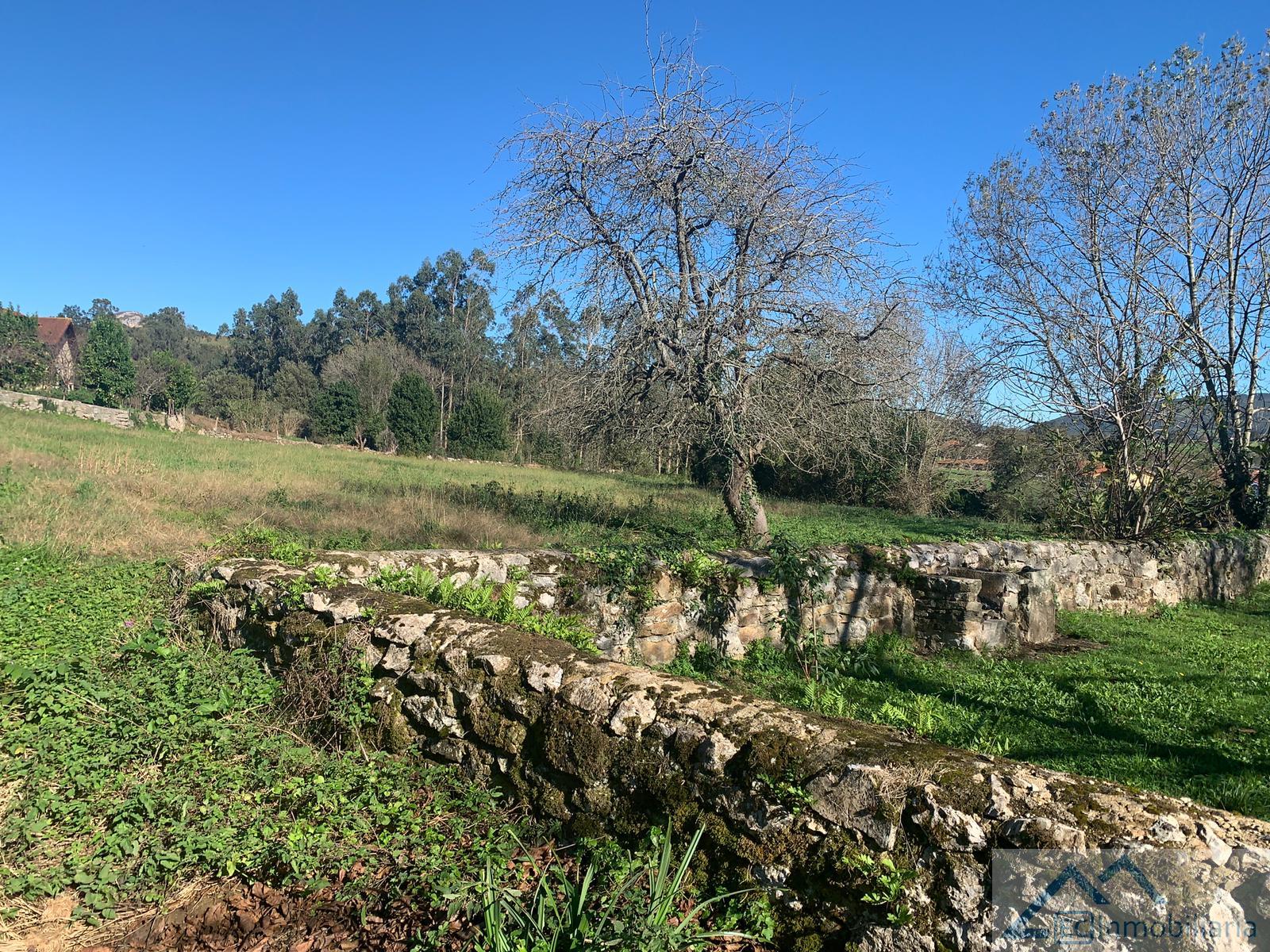 Terreno en venta en Navajeda, Entrambasaguas