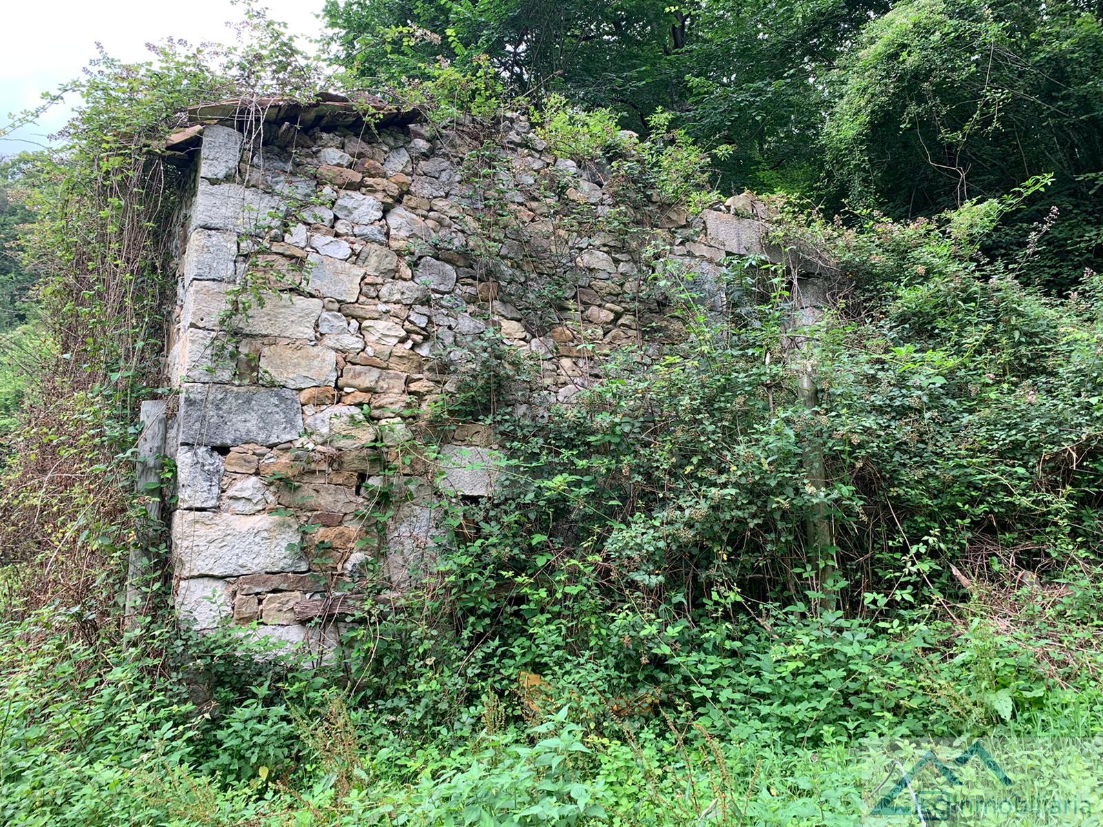 For sale of house in Riotuerto