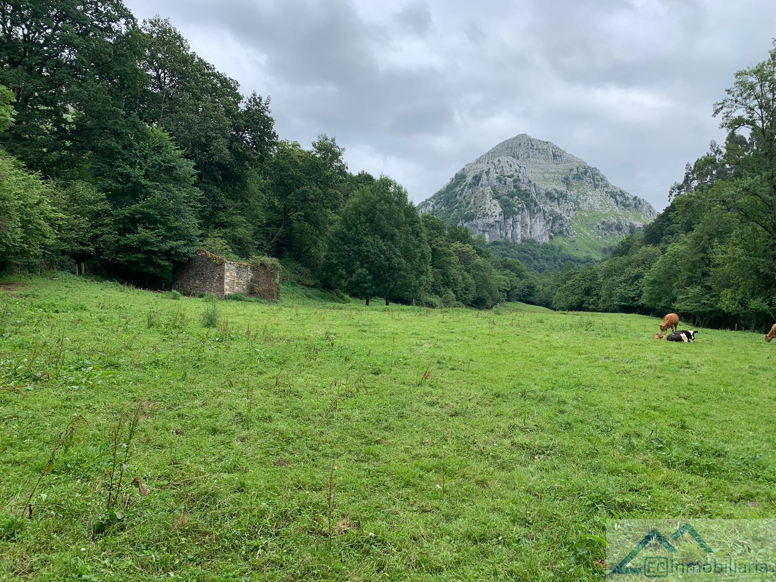 For sale of house in Riotuerto