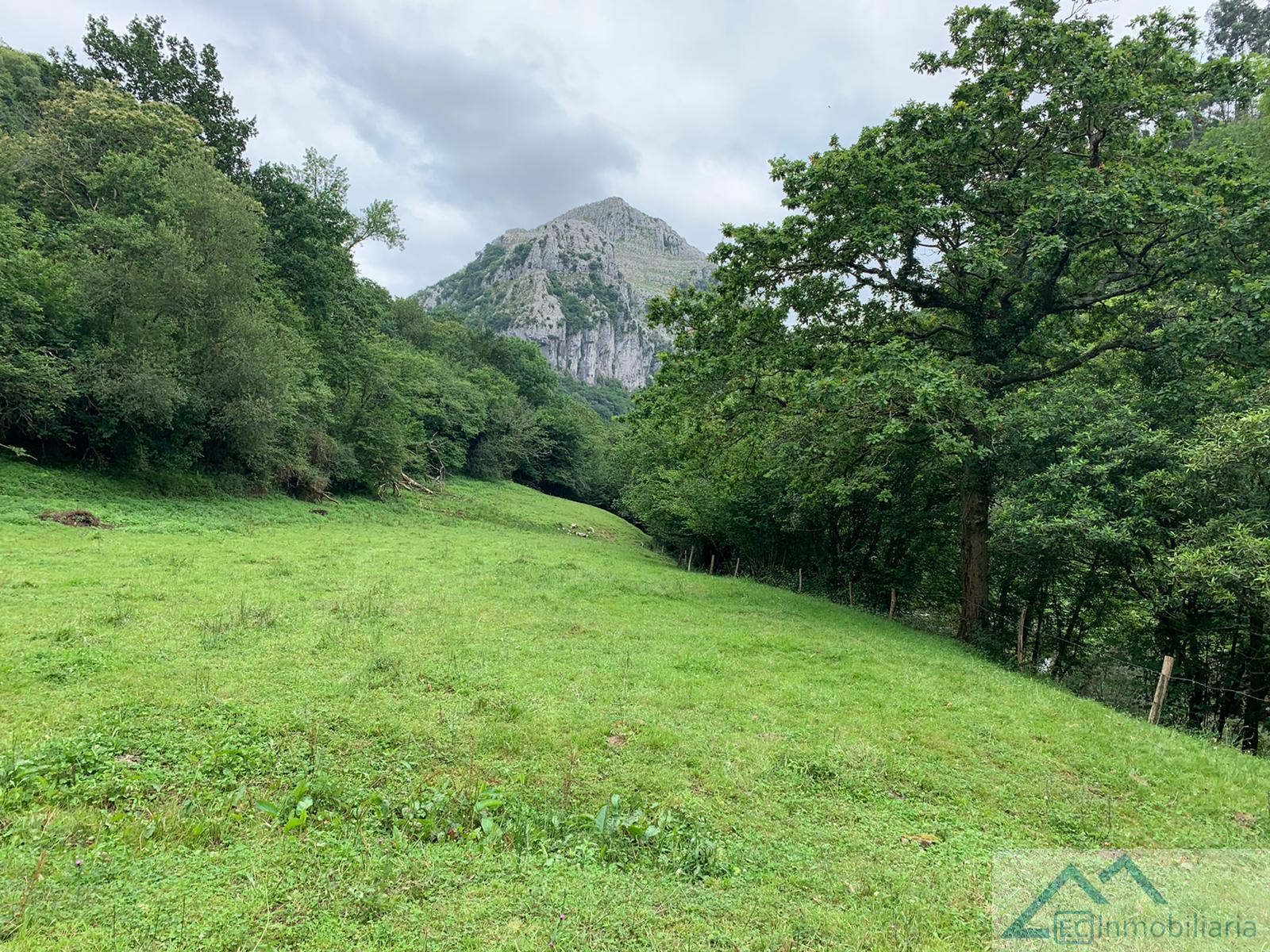 For sale of house in Riotuerto