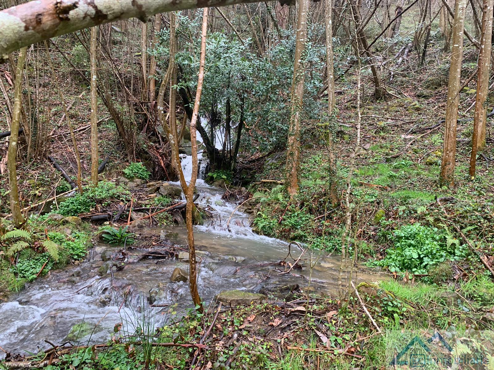 Venta de finca rústica en Liérganes