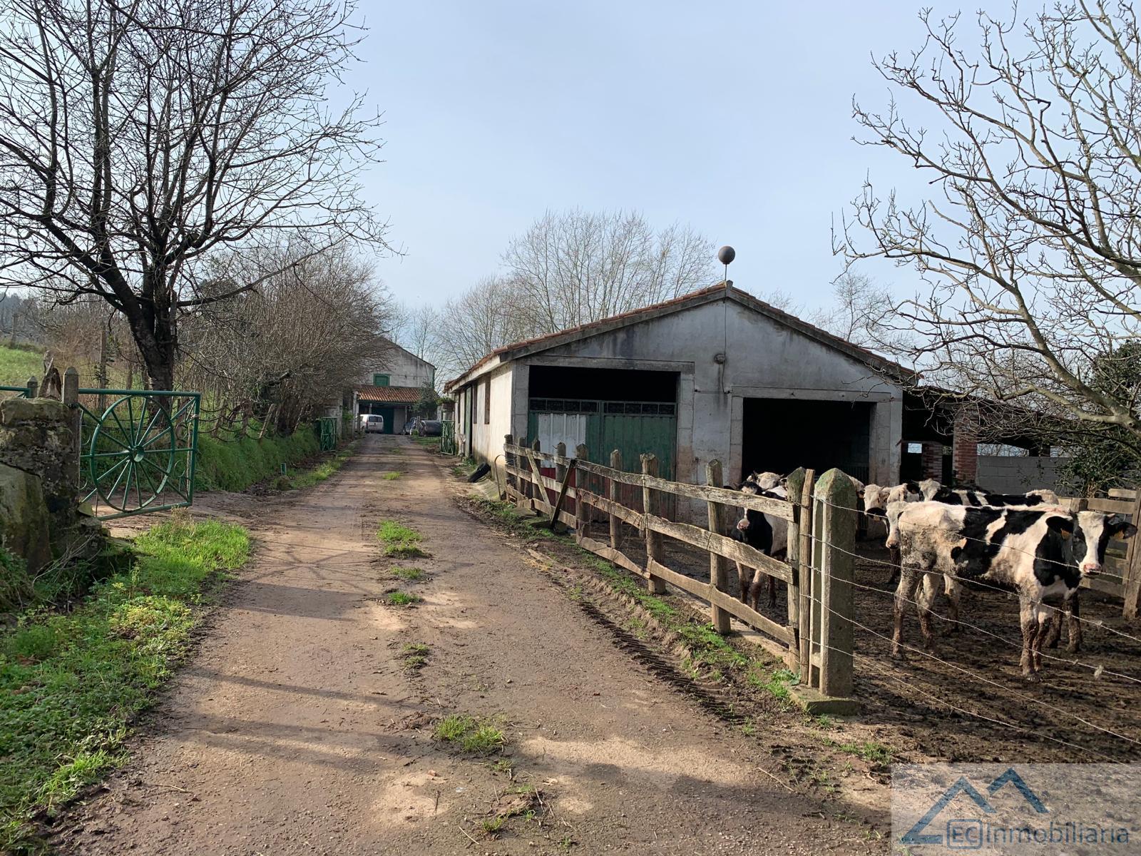 For sale of rural property in Villaescusa