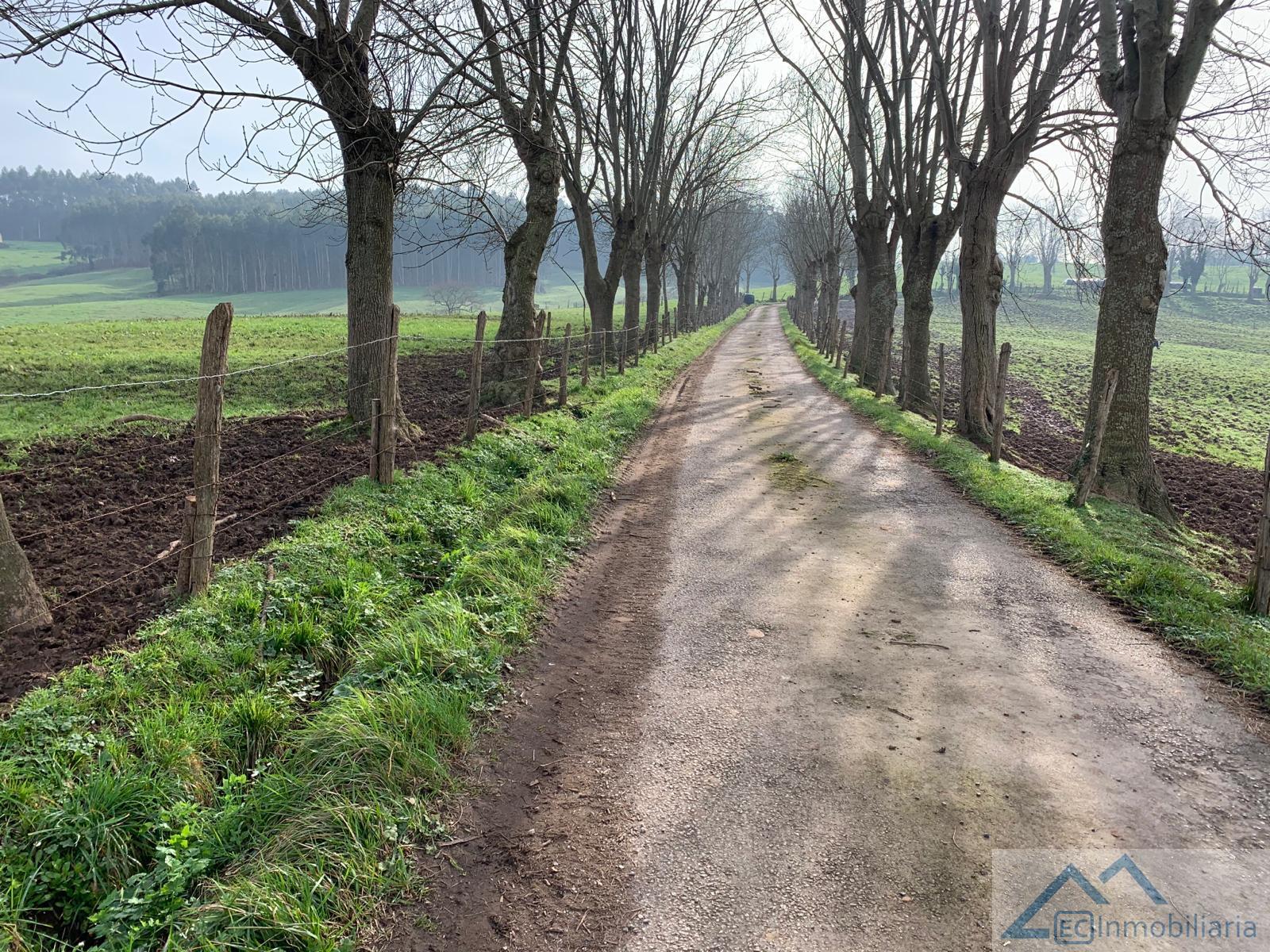 For sale of rural property in Villaescusa