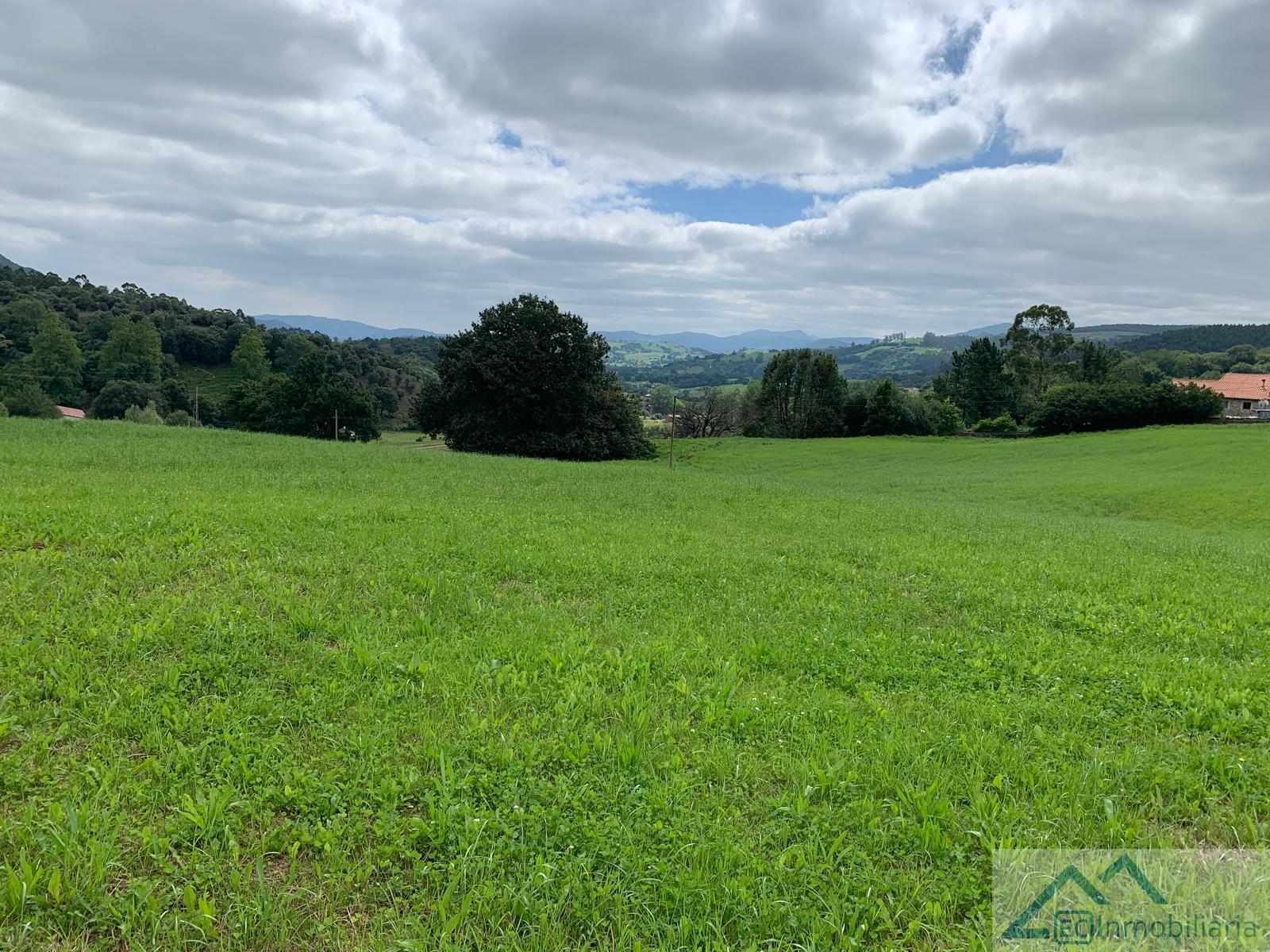 For sale of land in Liérganes